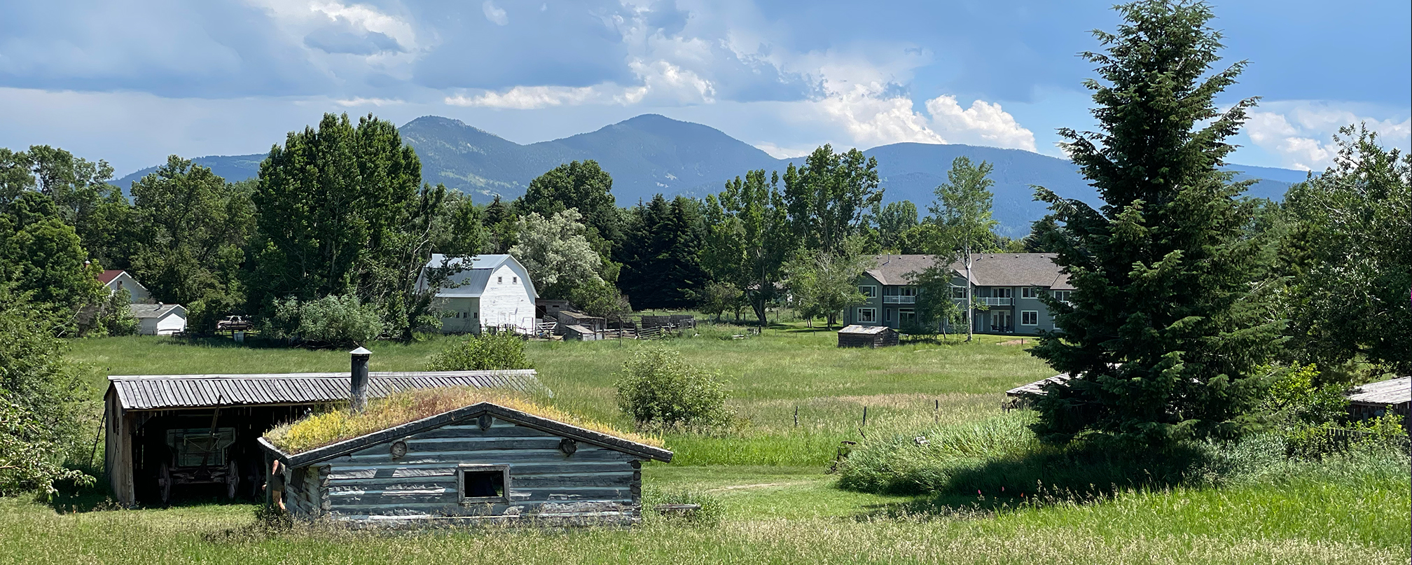 Montana